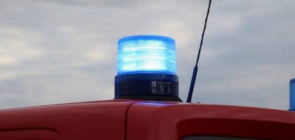 피부 비상 관련 사진