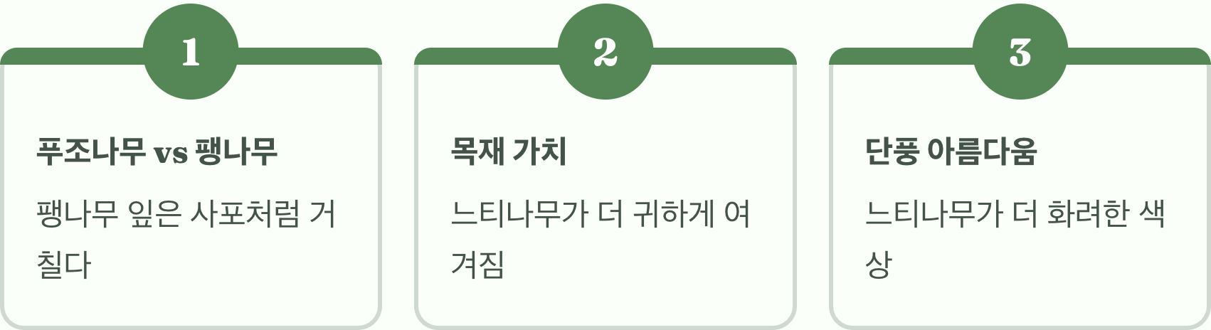 푸조나무 vs 느티나무, 차이점과 구별법 완벽 비교 분석