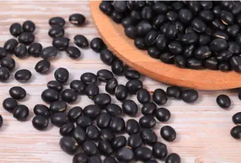 검은콩 효능 및 영양소&amp;#44; 가격