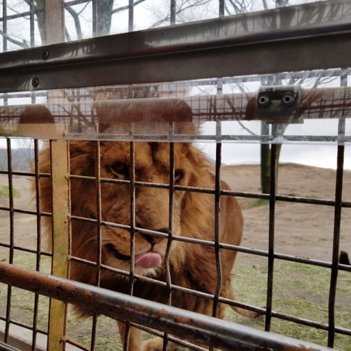 일본 후쿠오카 자유여행 TOP 9 : 벳푸 여행&#44; 아이와 가볼만한 곳