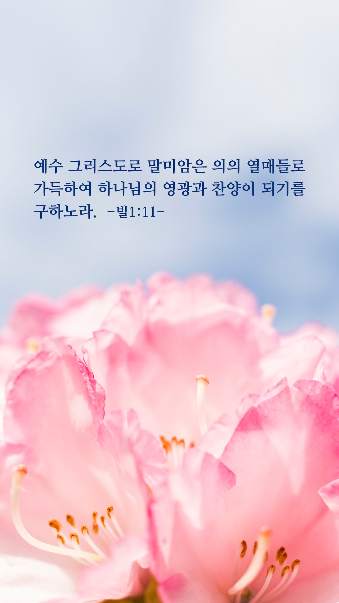 성경구절 배경화면