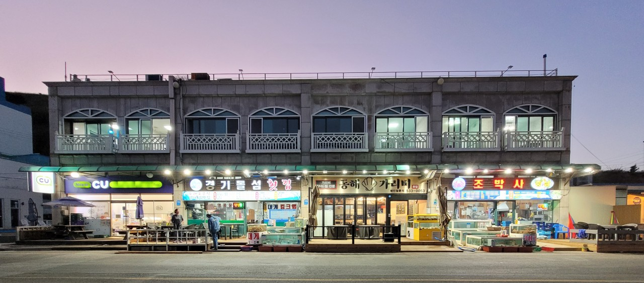 묵호항 동해가리비