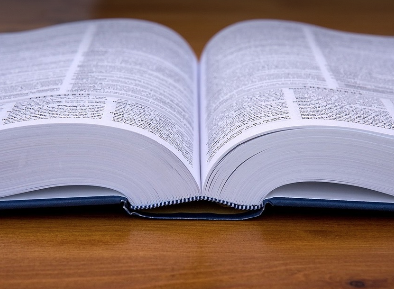 영어 어휘 학습