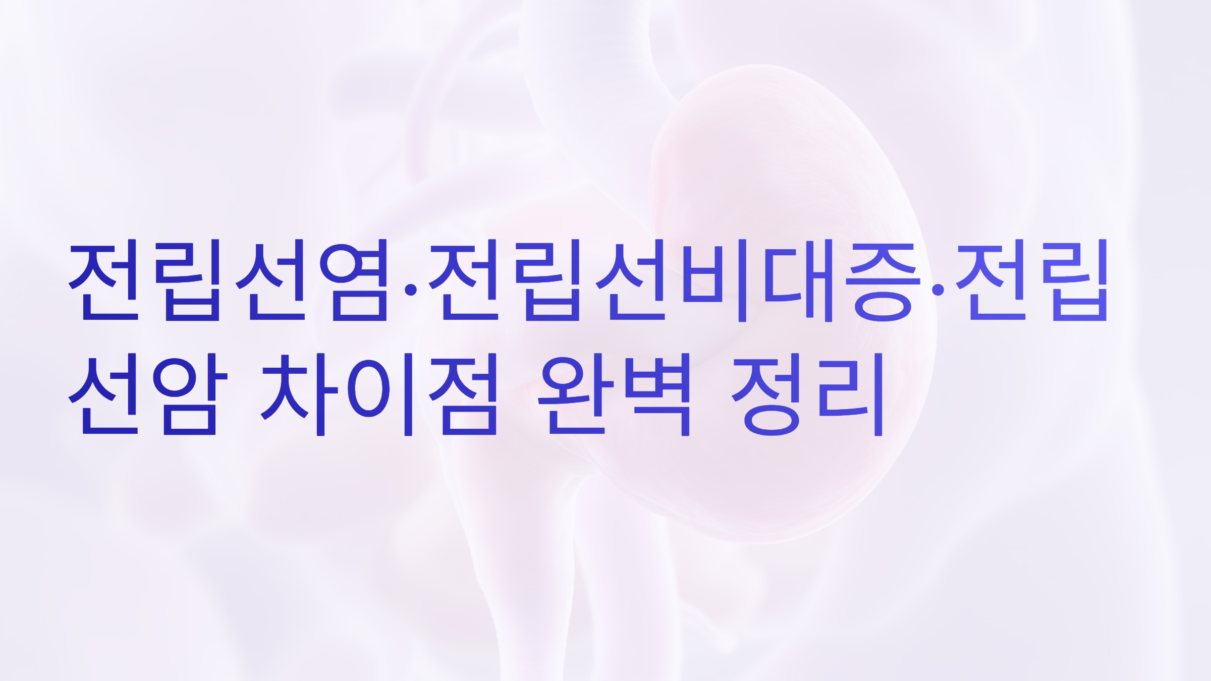 전립선염·전립선비대증·전립선암 차이점 완벽 정리
