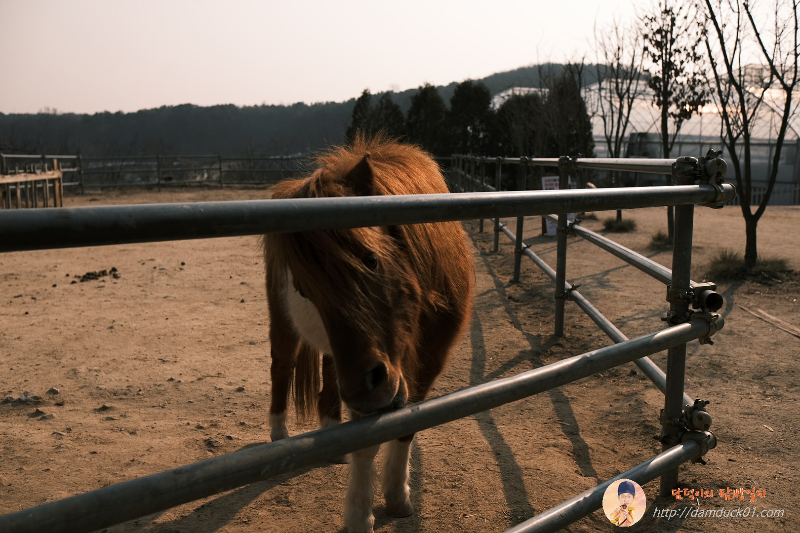 용인곤충테마파크 마굿간