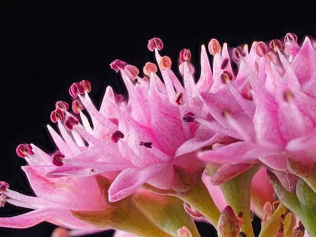 도장 스캔해서 배경 제거하는 방법 간편하게 투명 처리하기_8