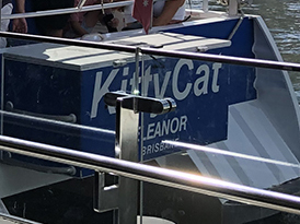 브리즈번 키티캣