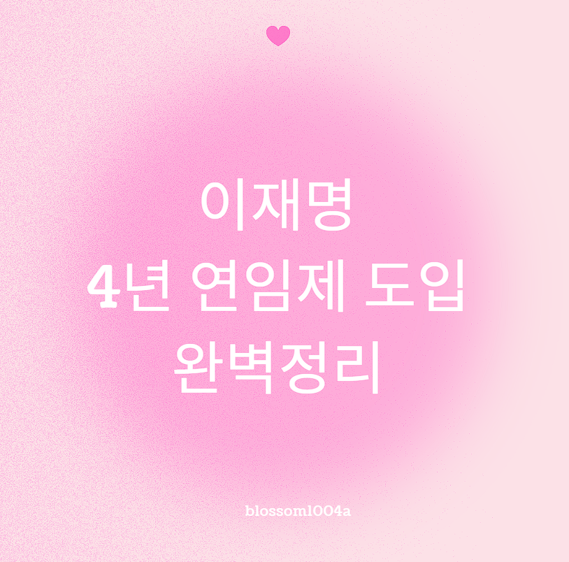 이재명 4년 연임제 완벽정리