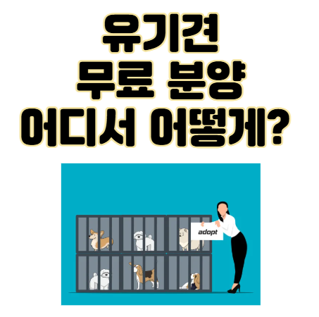 유기견 무료 분양, 어디서 어떻게? 실패 없는 입양 가이드