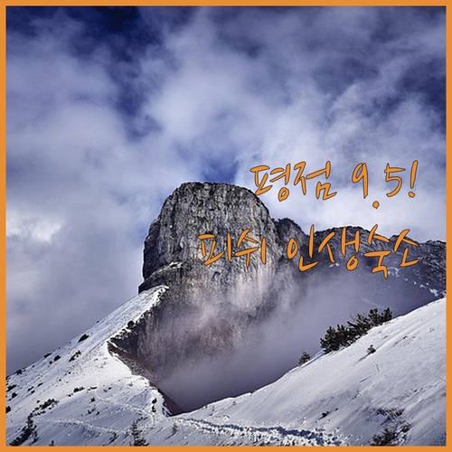 평점 9.5점 숙소부터 가성비 호텔까..