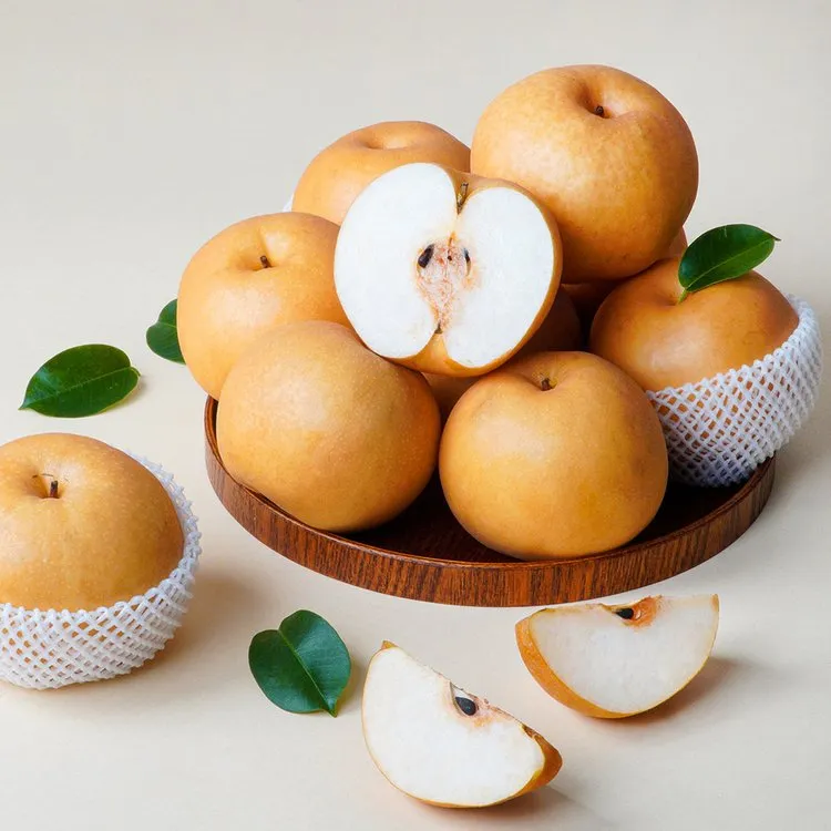 나주배 효능 특징 수확시기제철손질먹는방법나주배 보관 방법 안내_8