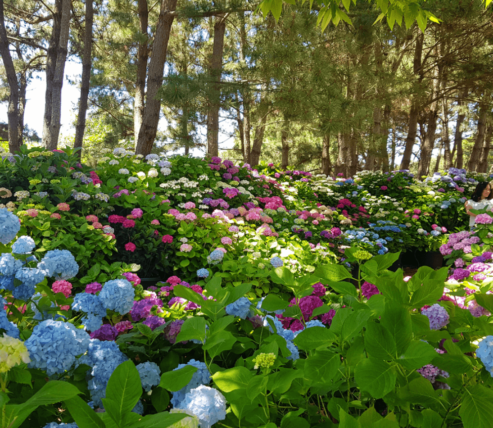 송파구 건강검진