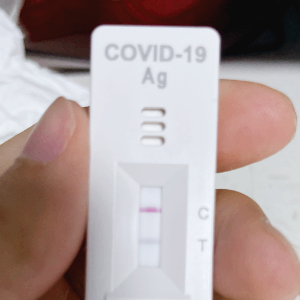 코로나 진단키드 관련주 대장주 테마주 수혜주 TOP5