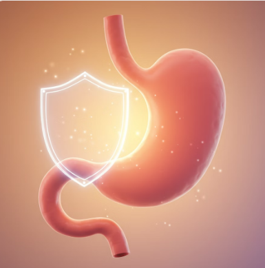 양배추즙 효능 : 위 점막 보호&amp;#44; 장 건강