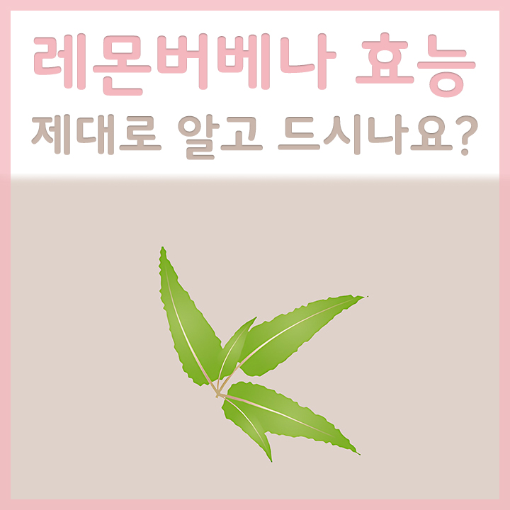 레몬버베나