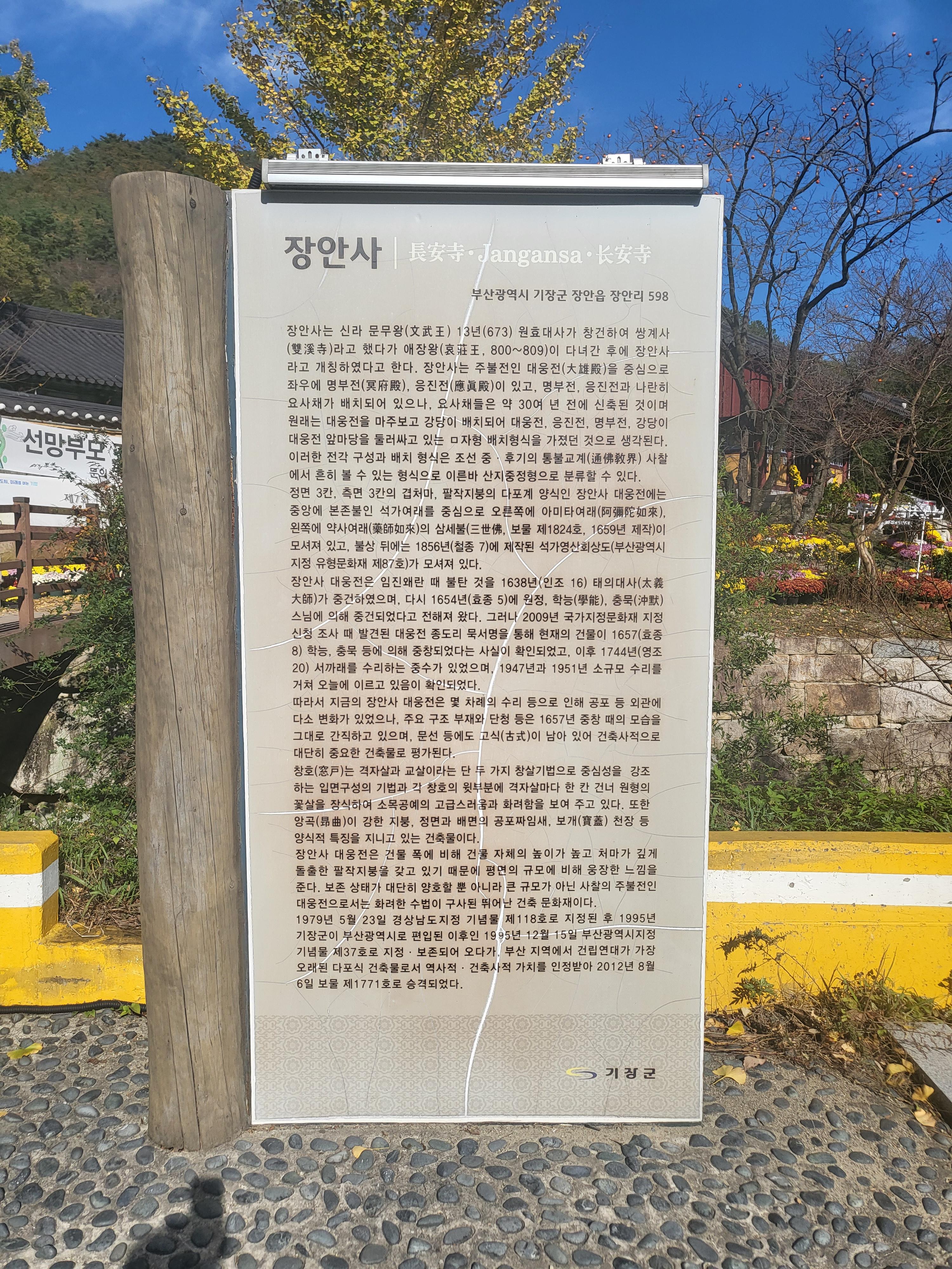 국화 향기 가득한 부산 기장 장안사 제 7회 기장 국화분재전시회가 열렸습니다.