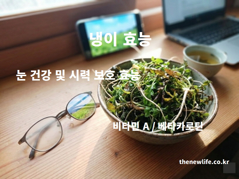 스마트폰과 컴퓨터 사용이 많은 현대인의 눈 피로를 풀어주고 시력을 보호하는 냉이 효능과 비타민 A 성분 설명 이미지