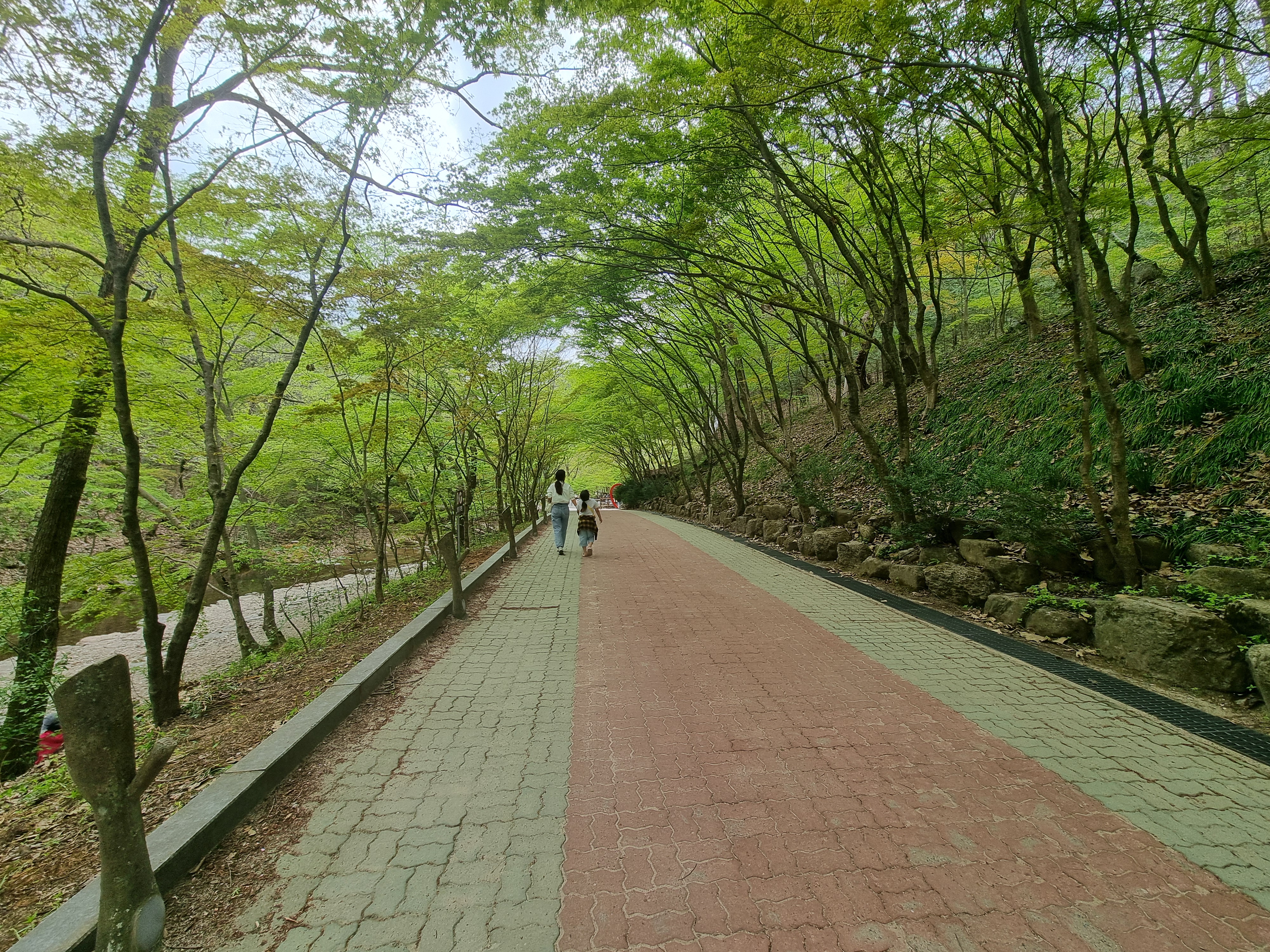 강천산 군립공원 산책로