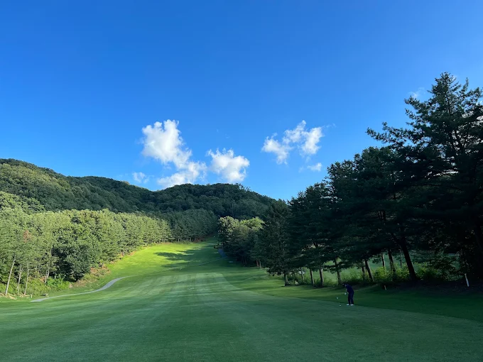 경기도 용인 양지파인CC 골프장 소개 및 예약방법