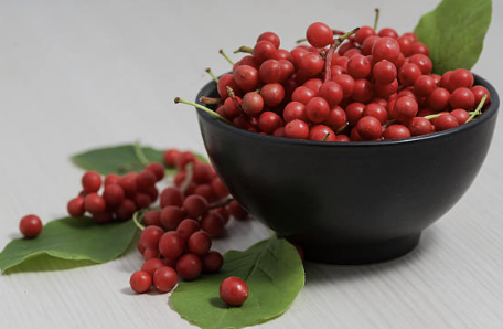 오미자 효능 부작용 먹는법 오미자차 만드는 방법 오미자청 총정리