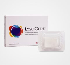 혁신 신약 개발 부문