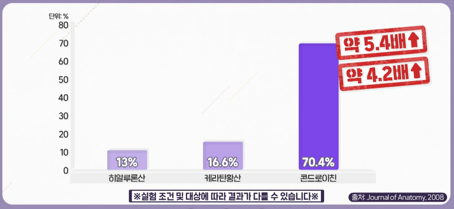 콘드로이친 효능