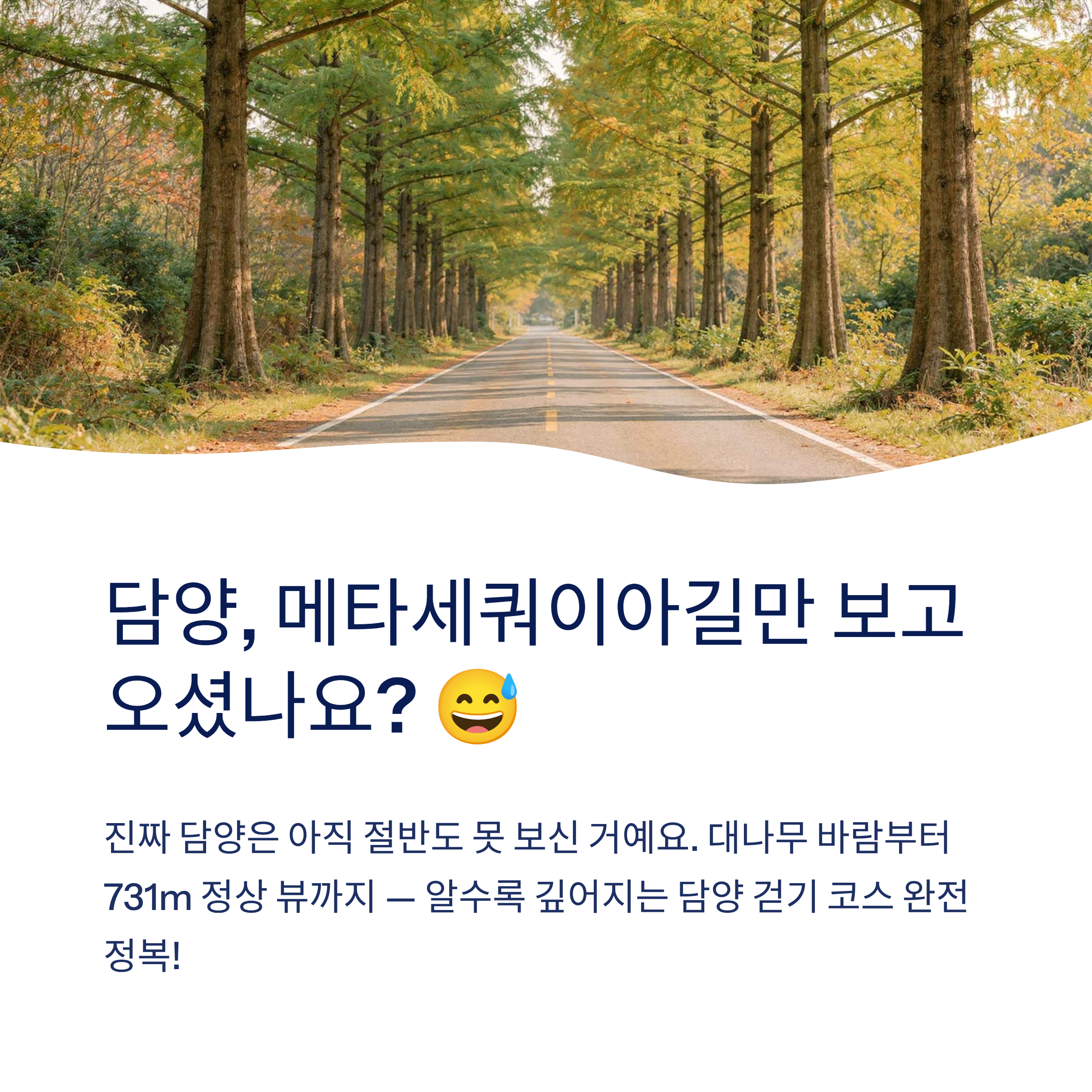 담양 메타세쿼이아길부터 추월산까지 — 걷기 명소 5선 완벽 가이드 2026