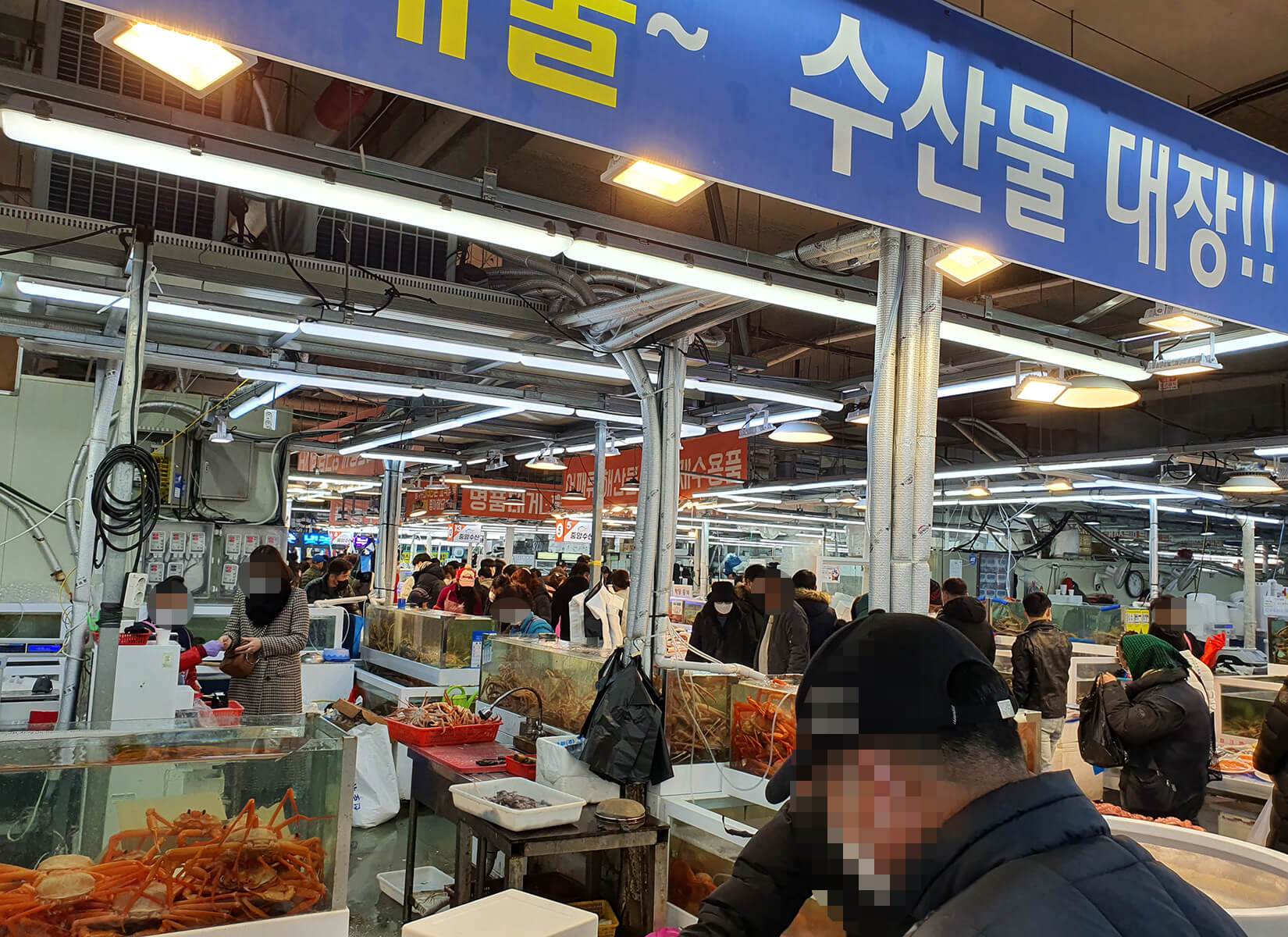 대구 매천수산시장5