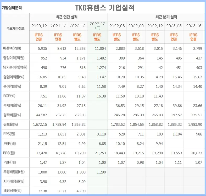 요소수 관련주 (TKG휴켐스)