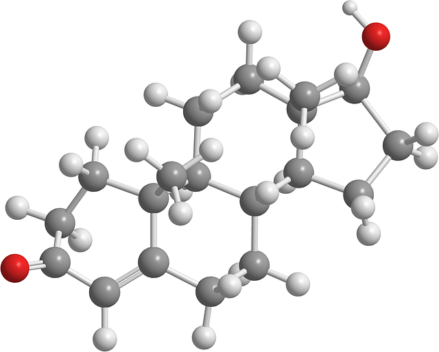 뇌의 신경-내분비 네트워크: 호르몬-뉴런 상호작용이 건강을 지배한다