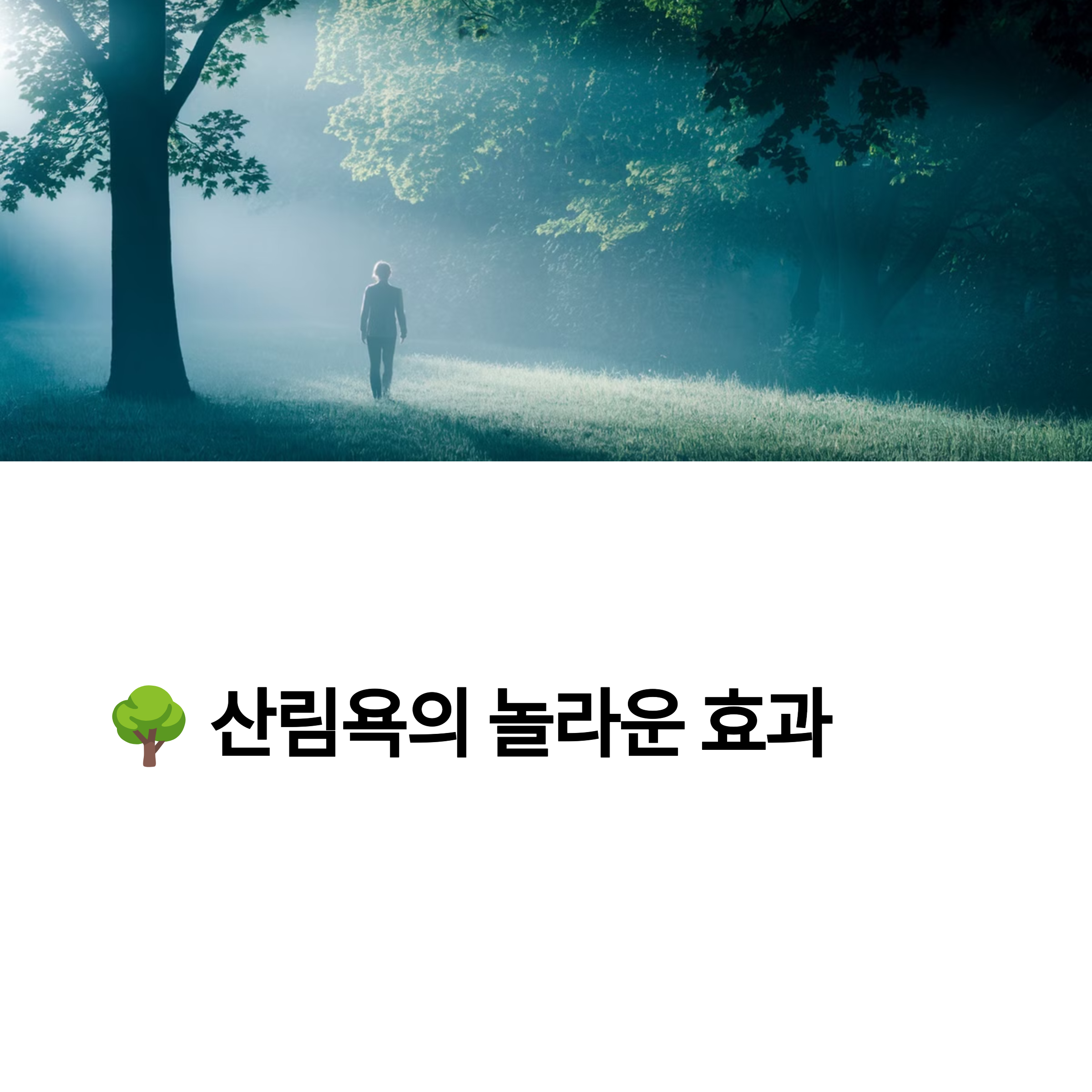 산림욕의 놀라운 효과