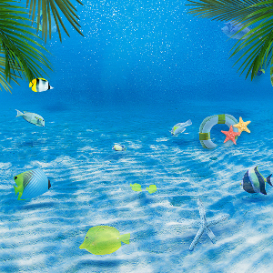 대전아쿠아리움