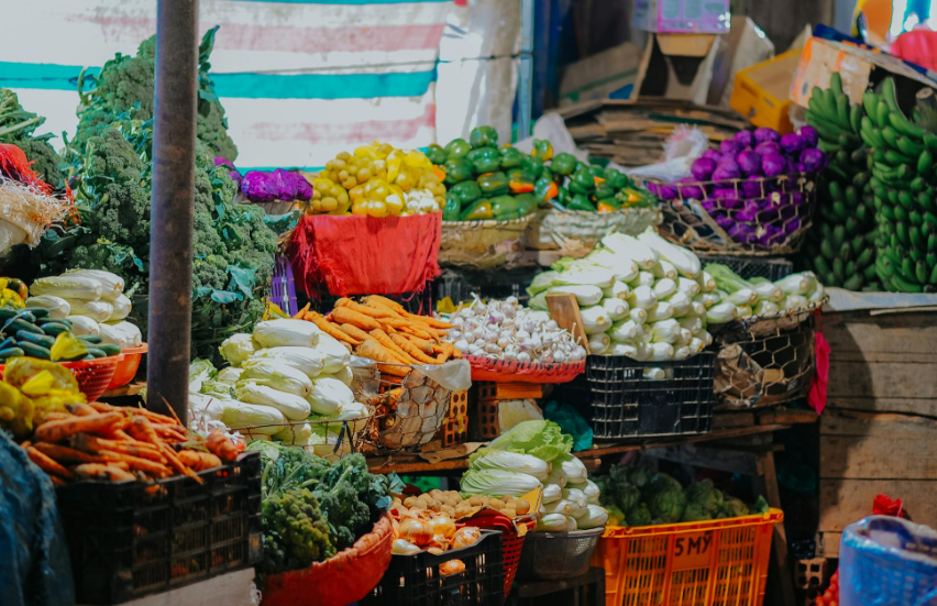 코스트코할인상품