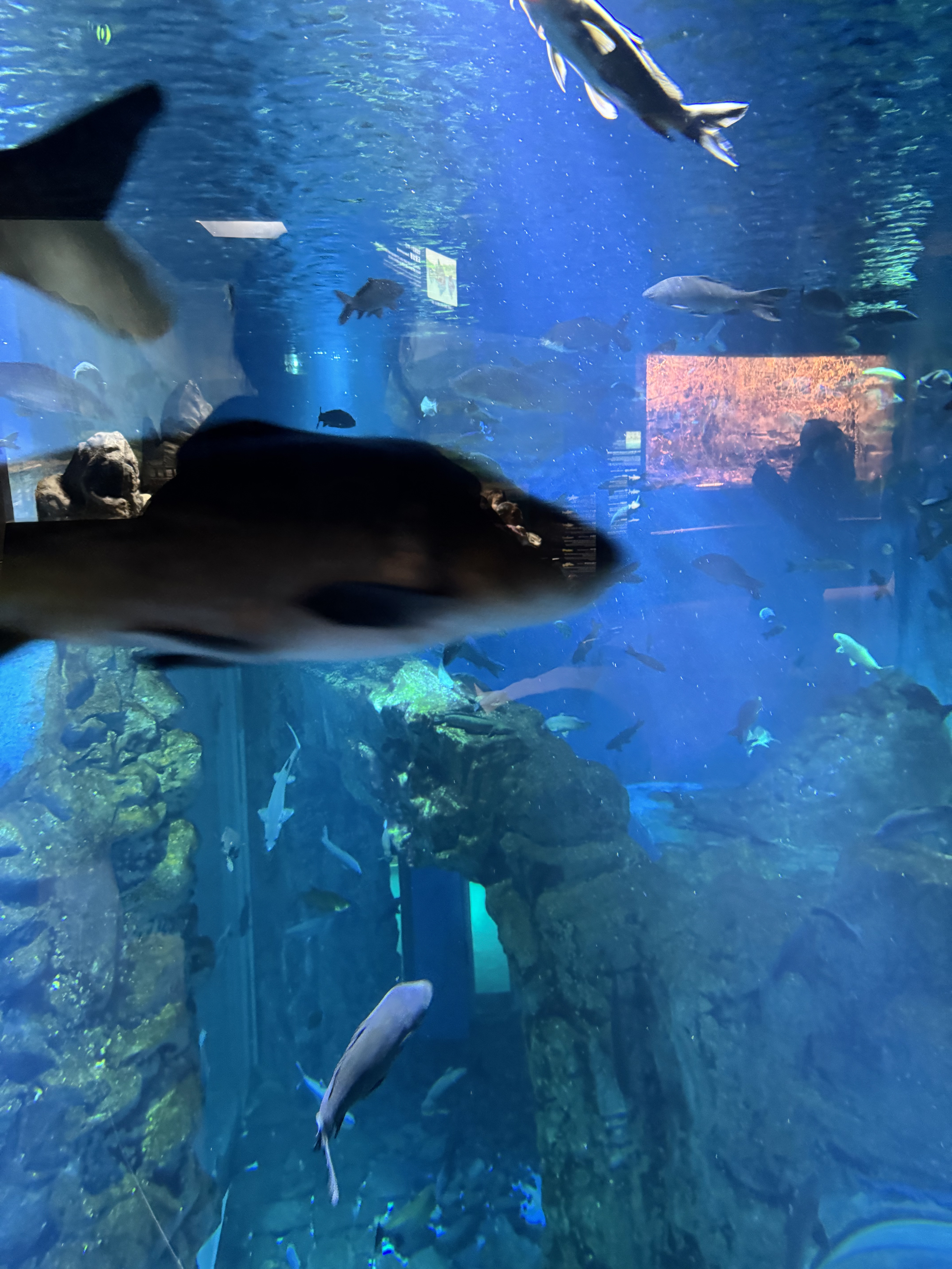 충북 단양 여행