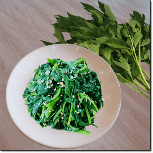 명일엽 효능