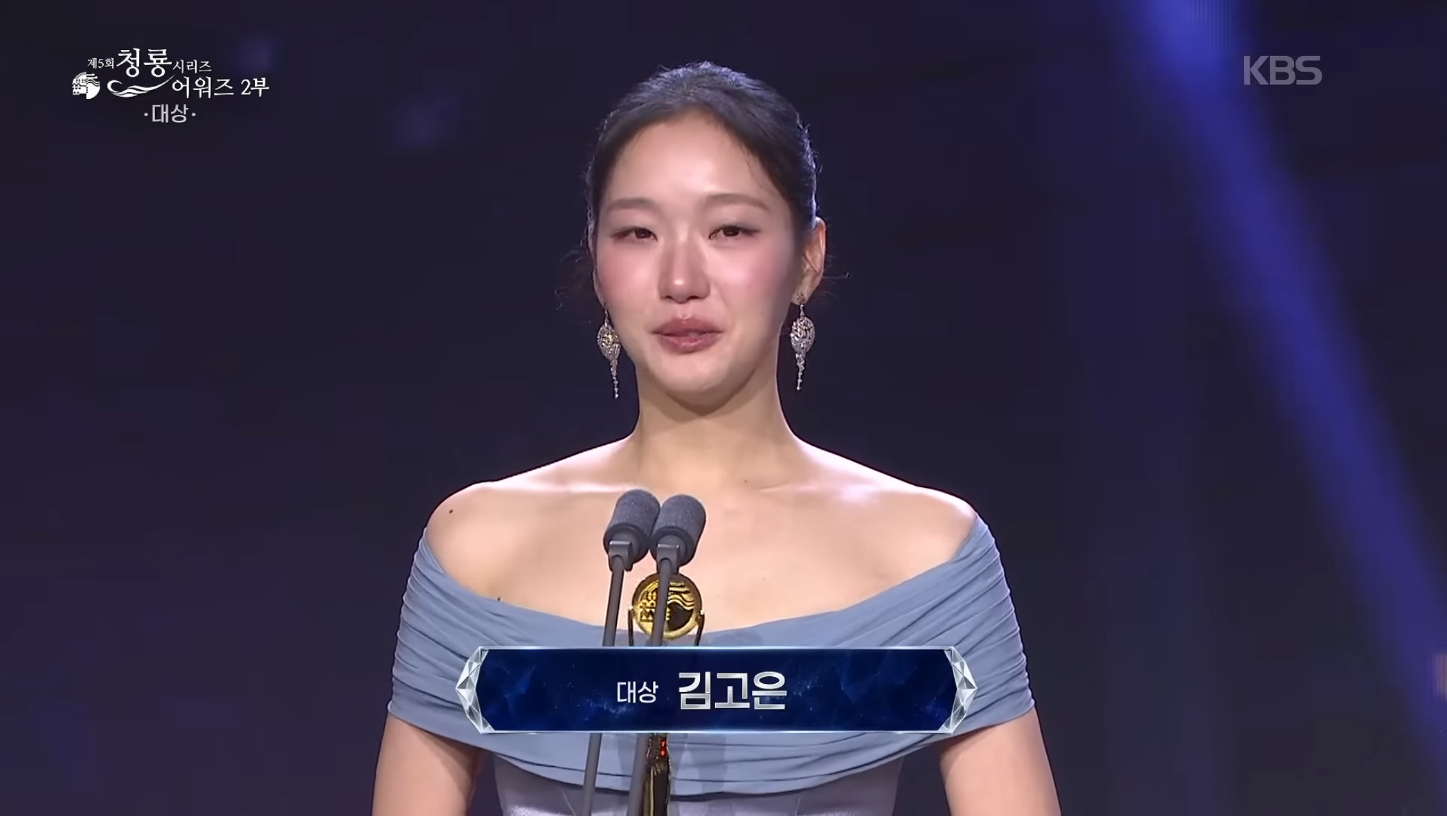 청룡 시리즈 어워즈