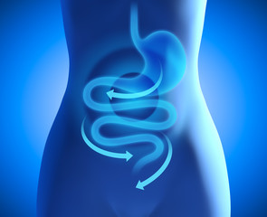 흑염소진액 효능과 흑염소진액 추천 순위 TOP 5 - 네이버, 쿠팡, G마켓, 11번가 판매 분석