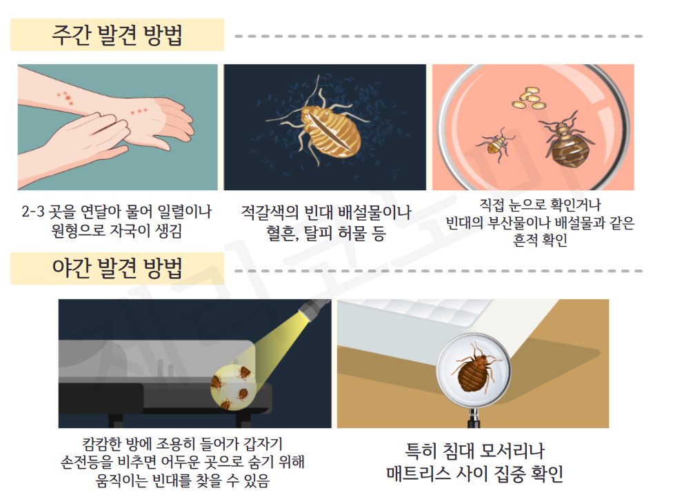 빈대 퇴치법 : 빈대 예방하기, 빈대 살충제, 퇴치제 알아보기