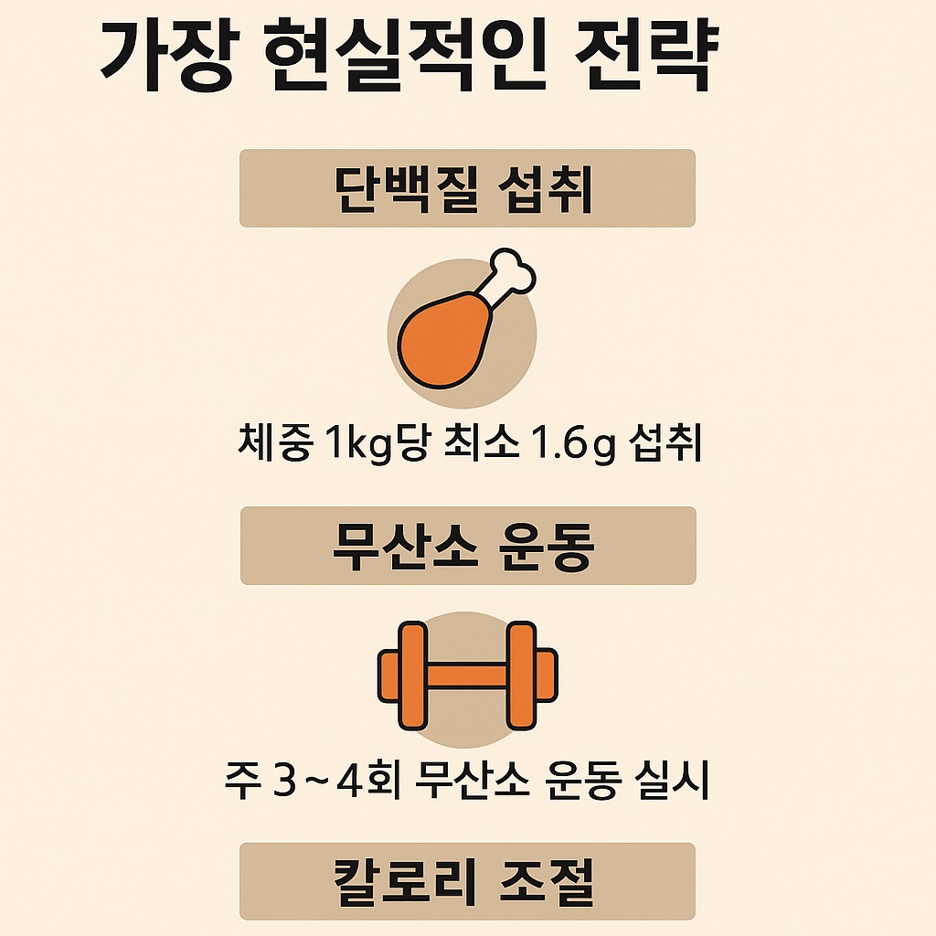 단백질 섭취, 무산소 운동, 칼로리 조절