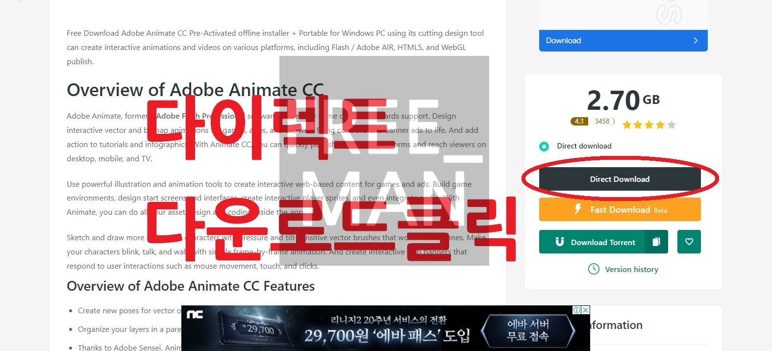 애니메이션 프로그램