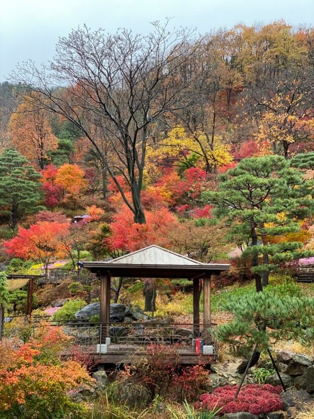 화담숲 예매하기