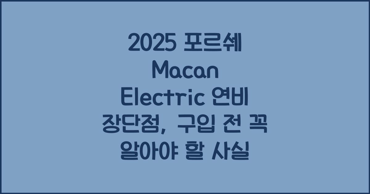 2025 포르쉐 Macan Electric 연비 장단점