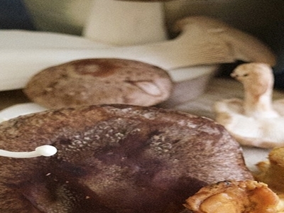 팽이버섯 사진17