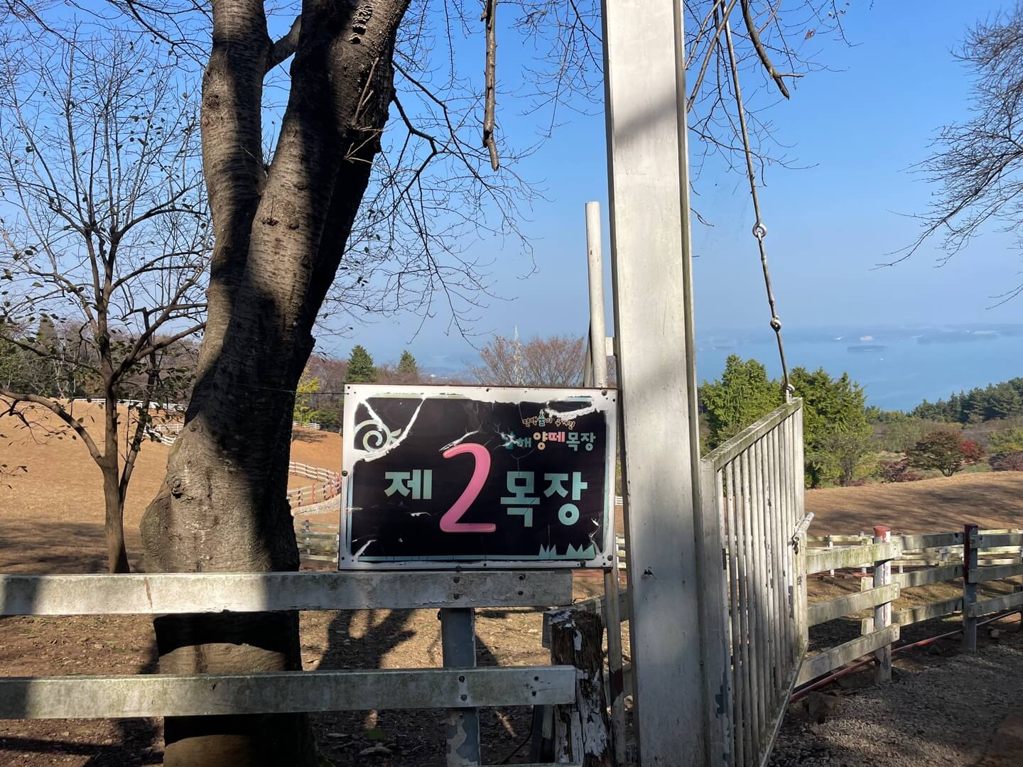 남해 상상양떼목장