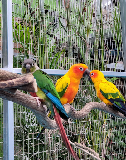 2024 경주 가볼만한곳 시내 유적지 왕릉 놀거리 2박3일 코스