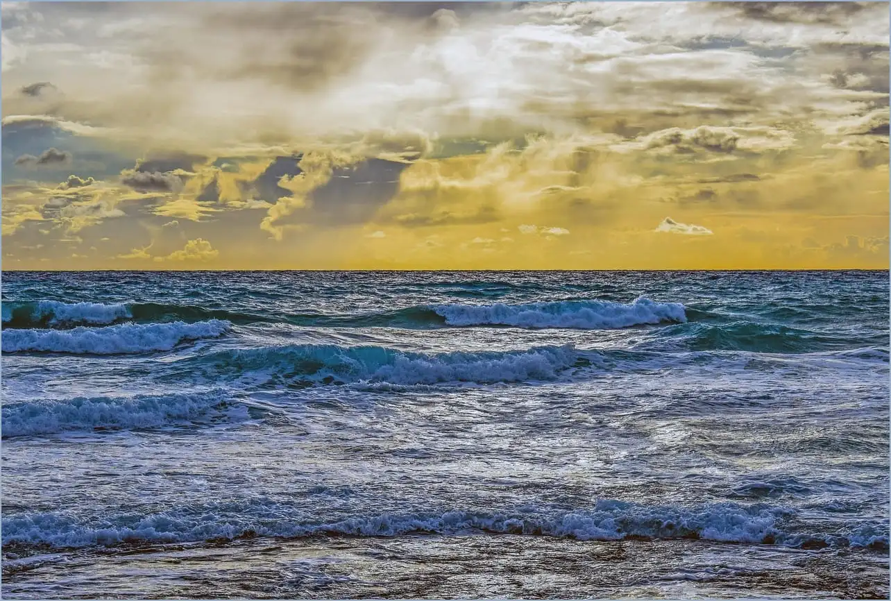 어도비 리더 다운로드