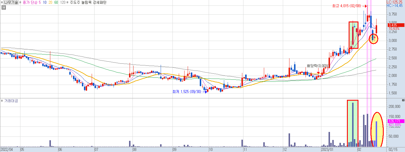 나무기술 일봉 차트