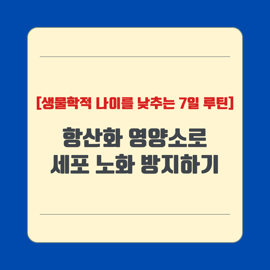 항산화 영양소로 세포 노화 방지하기