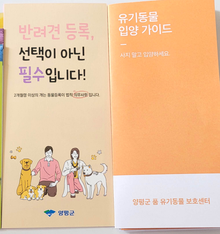 유기동물 홍보물