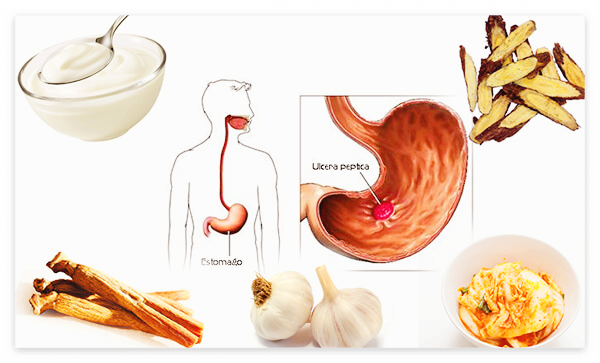 헬리코박터균에 좋은 음식